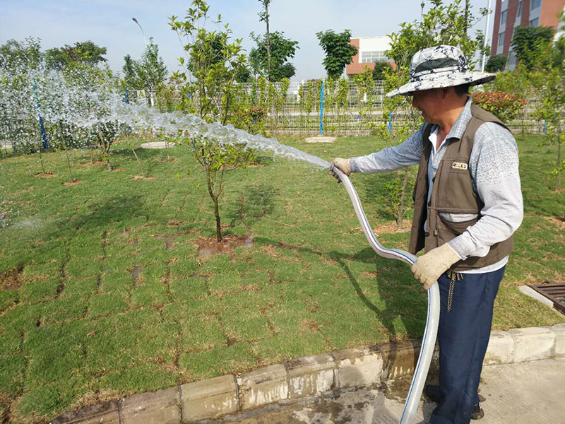 绿化浇水