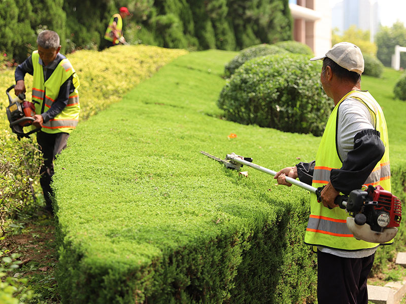 绿化修剪